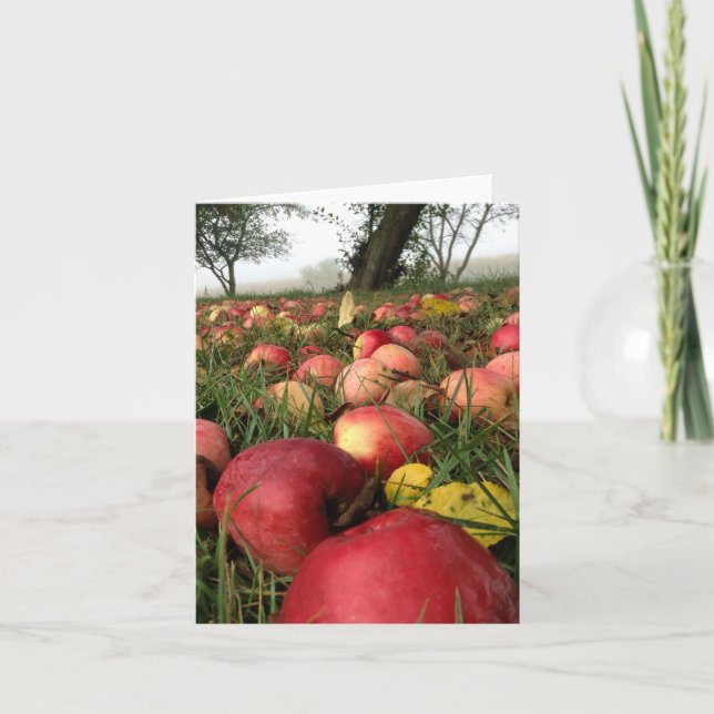 Matin d'automne dans la carte de note de champ de (Devant)