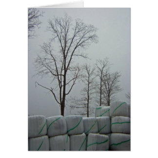 Matin d'hiver 5x7