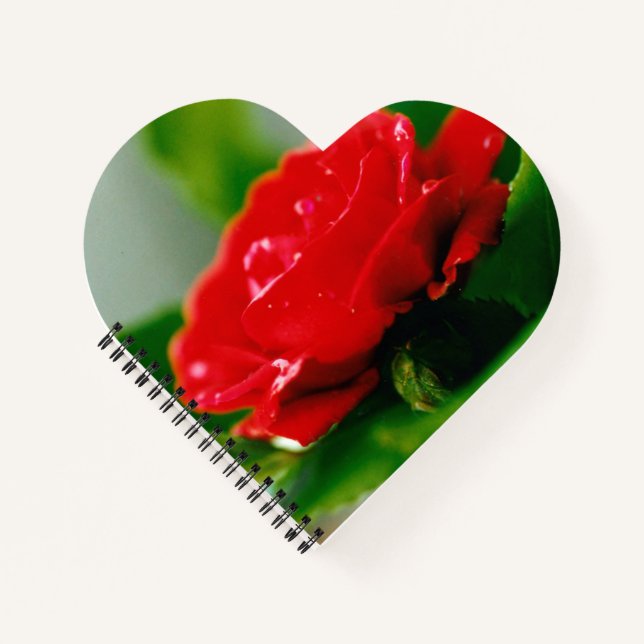 Matin Rouge Rose Coeur en forme de Carnet spiral (Devant)