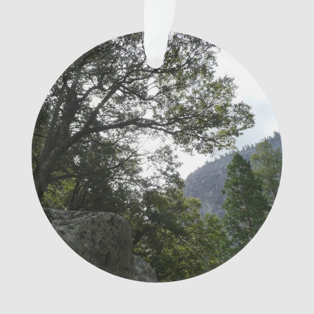 Matin sur le sentier à Vernal Falls à Yosemite (devant)