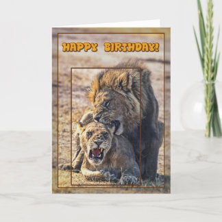 Mating lions card