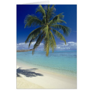 Matira Beach on the island of Bora Bora, Society