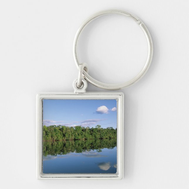 Mato Grosso State, Amazon, Brazil. Forested Keychain (Front)