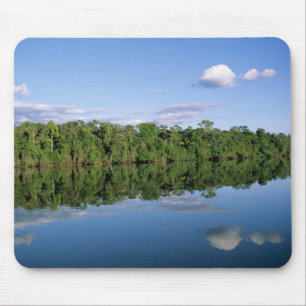 Mato Grosso State, Amazon, Brazil. Forested Mouse Pad