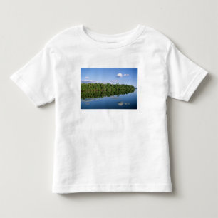 Mato Grosso State, Amazon, Brazil. Forested Toddler T-shirt
