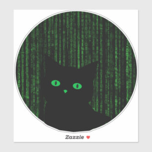 matrix cat, the matrix rain code, binary code