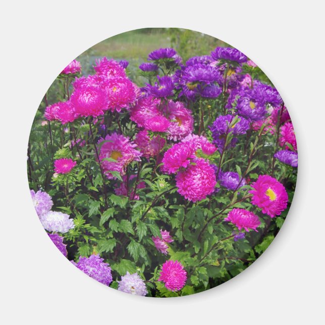 Matsumoto Flowers magnet (Front)