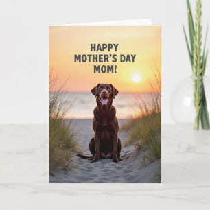 Matte Sunset Dog Moms Day Card