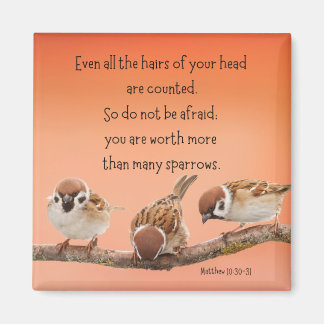 Matthew 10:30-31 2" Magnet