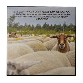 Matthew 18:12    tile