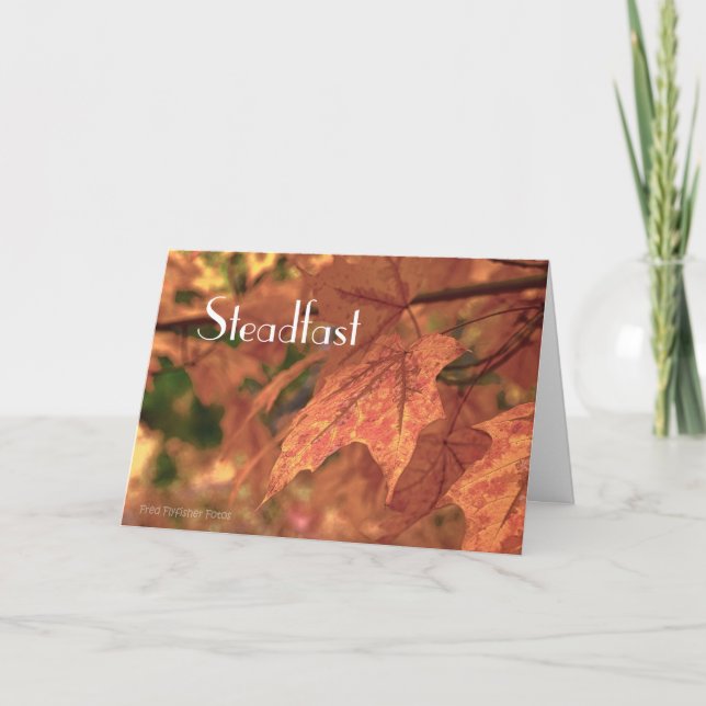 Matthew 24:35 card (Front)