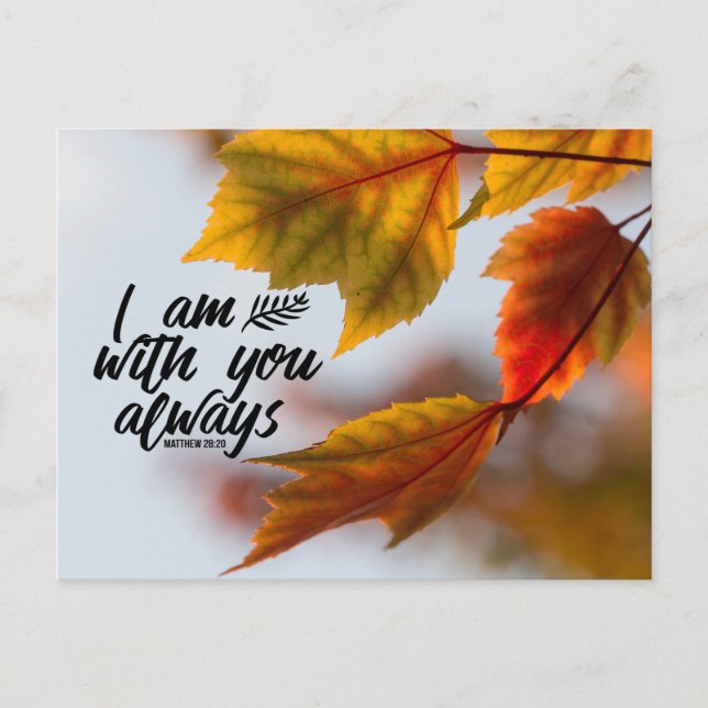 Matthew 28 20 I Am With You Always Fall Leaves Postcard (Front)