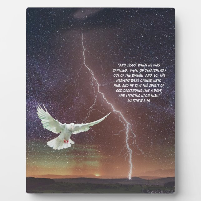 MATTHEW 3:16   PLAQUE (Front)