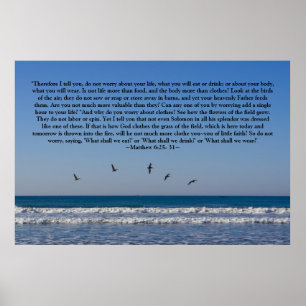 Matthew 6:25- 31 Poster