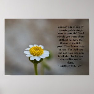 Matthew 6:27- 29 Poster