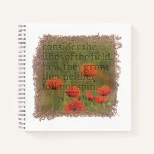 MATTHEW 6:28 - Journal