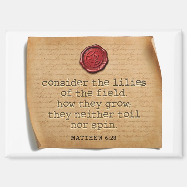 Matthew 6:28 Kitchen Magnet Home Accent (Front)