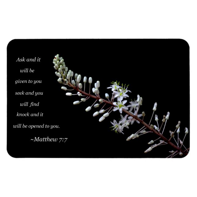 Matthew 7:7 magnet (Horizontal)