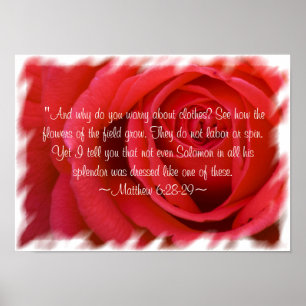 Matthieu 6:28-29 Poster 2