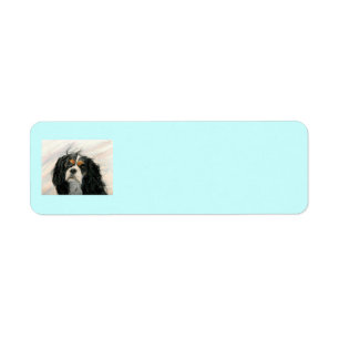 Mattie le Roi Charles Cavalier