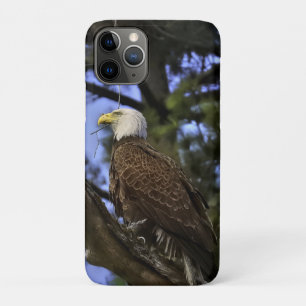 Mature Bald Eagle iPhone 11 Pro Case