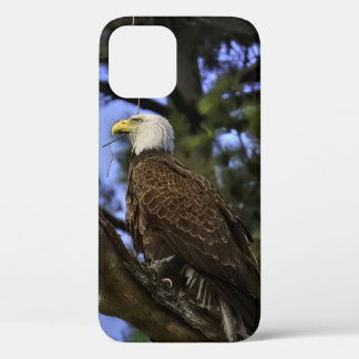 Mature Bald Eagle Case-Mate iPhone Case