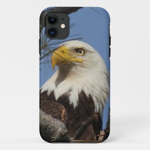 Mature Bald Eagle Close Up Head iPhone 11 Case