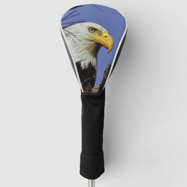 Mature Bald Eagle Close Up Head    Golf Head Cover (Front)