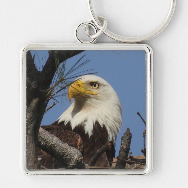 Mature Bald Eagle Close Up Head Keychain (Front)