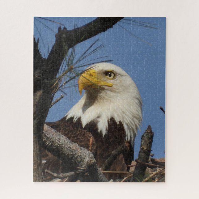 Mature Bald Eagle in Nest Jigsaw Puzzle (Vertical)