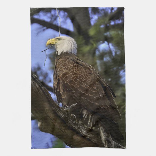 Mature Bald Eagle Kitchen Towel (Vertical)