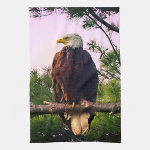 Mature Bald Eagle perched in Evergreen Tree Kitchen Towel