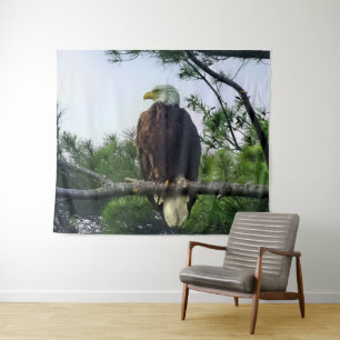 Mature Bald Eagle Perched in Tree Tapestry