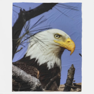 Mature Male Bald Eagle Close Up Head Shot Fleece Blanket