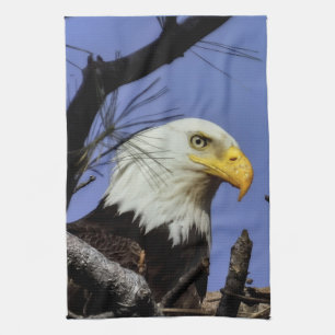 Mature Male Bald Eagle Close Up Head Shot Kitchen Towel