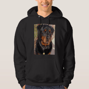Mature Male Rottweiler Photo Portrait Hoodie