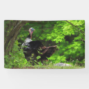 Mature Male Wild Turkey -Thanksgiving Banner