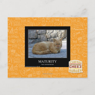 Maturity Postcard