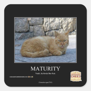 Maturity Square Sticker
