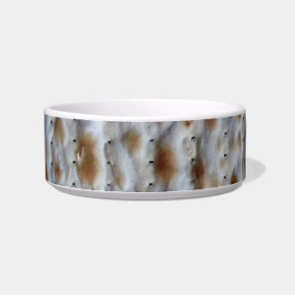 Matzah small food dish for a pet