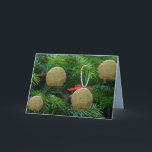 Matzoh Ball Ornaments on Christmas Tree - Hanukah Holiday Card<br><div class="desc">Matzoh Balls on Christmas Tree - Funny Holiday Greeting Cards - Laughter,  Humour,  Funny</div>