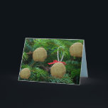 Matzoh Ball Ornaments on Christmas Tree - Hanukah Holiday Card<br><div class="desc">Matzoh Balls on Christmas Tree - Funny Holiday Greeting Cards - Laughter,  Humour,  Funny</div>