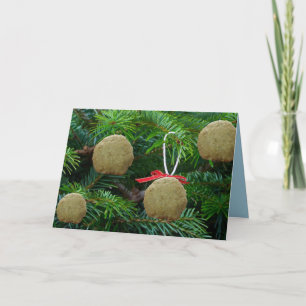 Matzoh Ball Ornaments on Christmas Tree - Hanukah Holiday Card