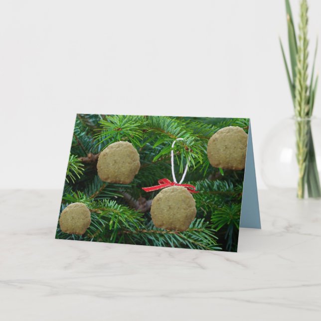 Matzoh Ball Ornaments on Christmas Tree - Hanukah Holiday Card (Front)
