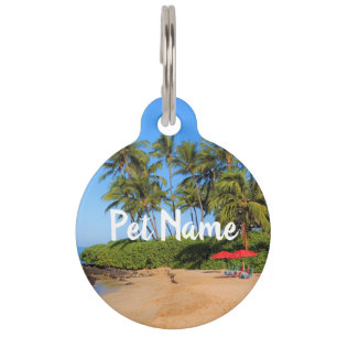 Maui Beach Umbrellas Pet Tag