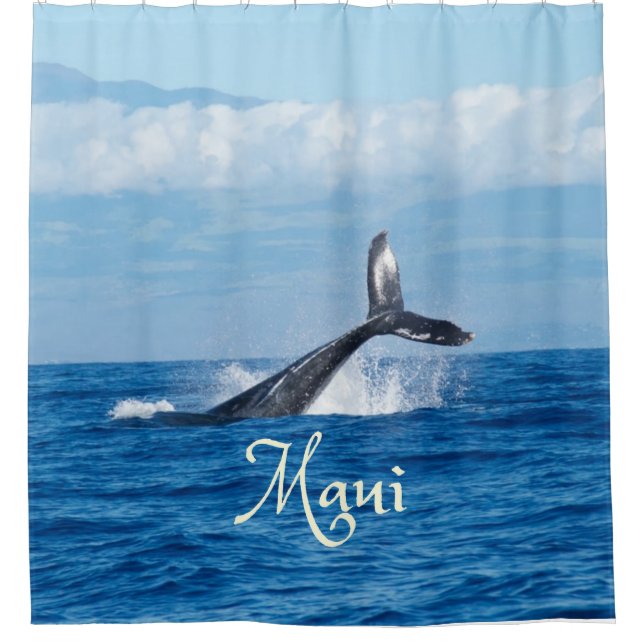Maui Hawaii Ocean Whale Tail (Front)