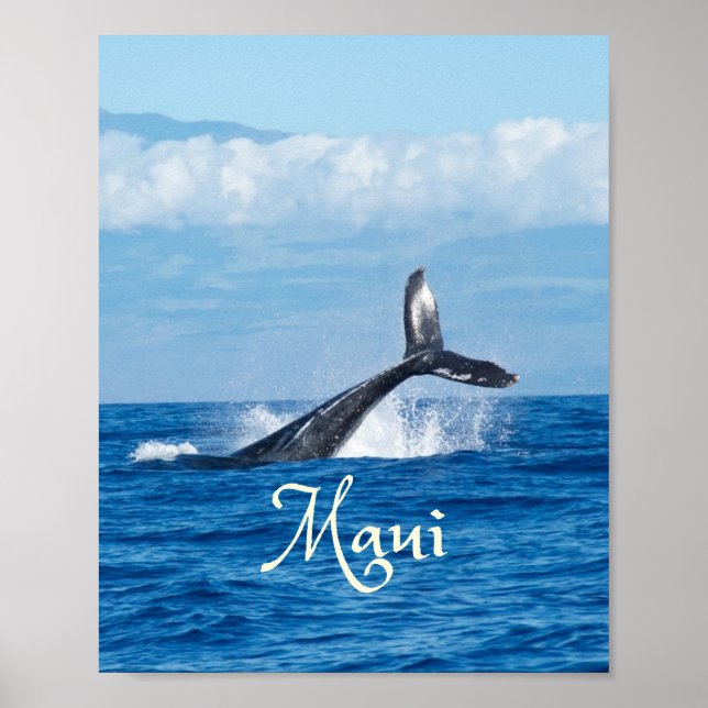 Maui Hawaii Ocean Whale Tail Poster (Front)