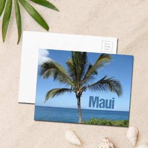 Maui Hawaii Palm Tree Scenic Postcard