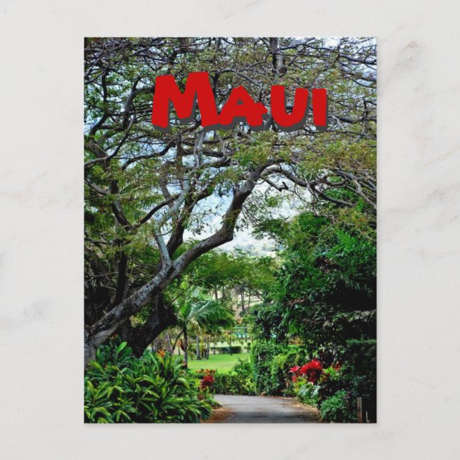 Maui Hawaii Postcard (Front)