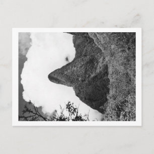 Maui, Hawaii - The Needle of Iao Valley Postcard